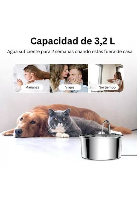 Fuente de Agua para Gato - Acero Inoxidable, Llave Silenciosa-4