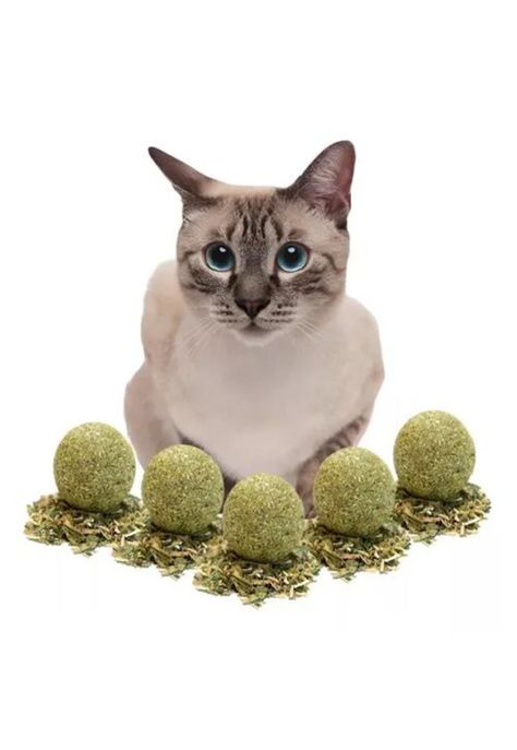 X5 Bolas Catnipo - Juegos para Gatos, Hierba Gatuna Roro, Pelota Interactiva para Gatos-2