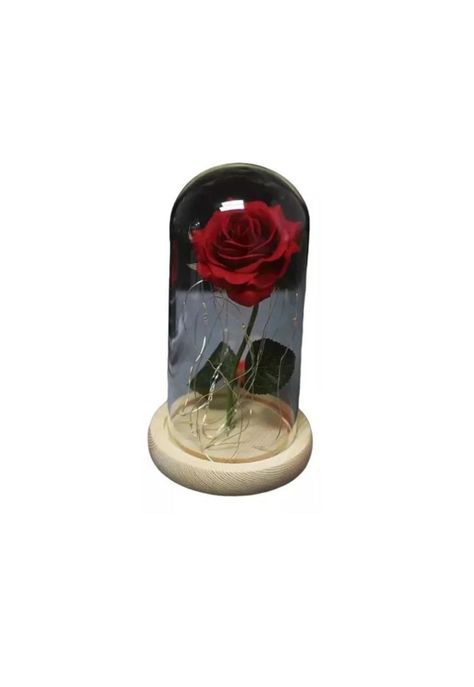 Rosa Eterna Artificial Encapsulada Luz LED San Valentín Base-1