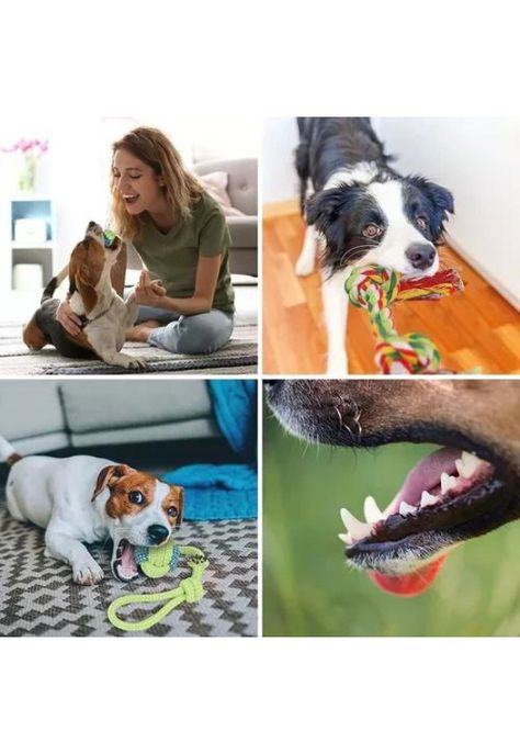 Set de 10 juguetes para mascotas, incluye pelota de cuerda y más-5