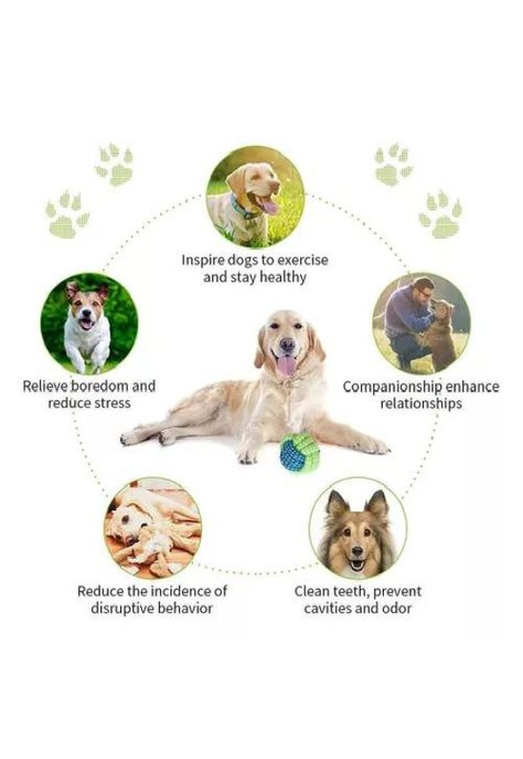 Set de 10 juguetes para mascotas, incluye pelota de cuerda y más-6