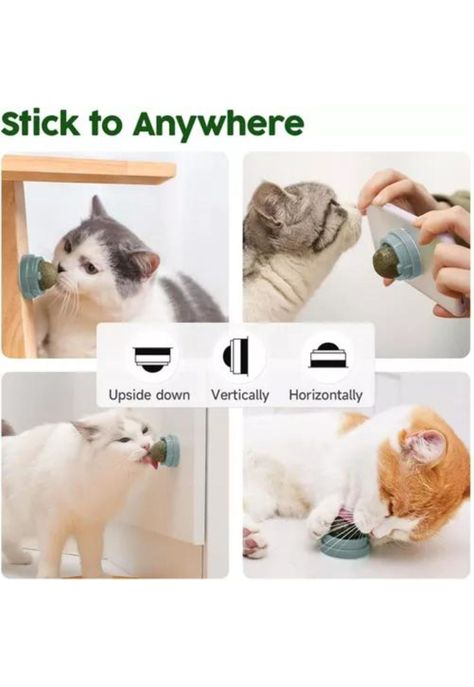 Bola de hierba gatera catnip para gatos-6