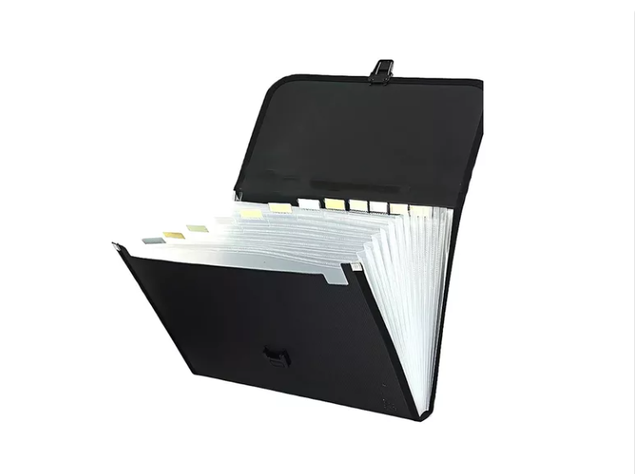 Carpeta Organizadora Clasificadora Archivo A4/13 Fuelles-1