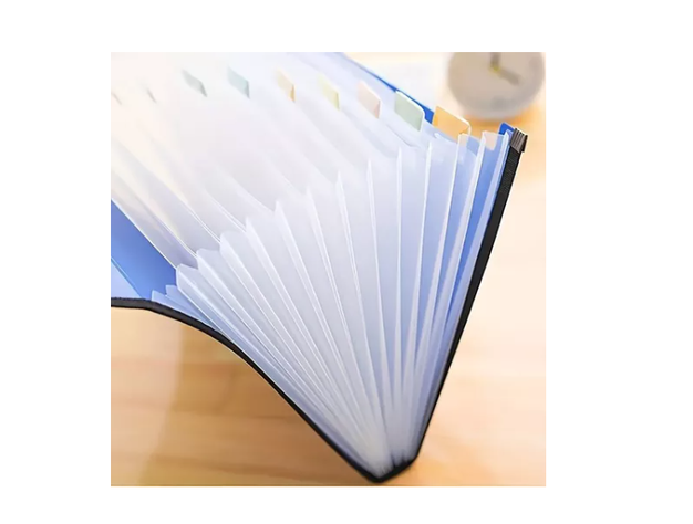 Carpeta Organizadora Clasificadora Archivo A4/13 Fuelles-3