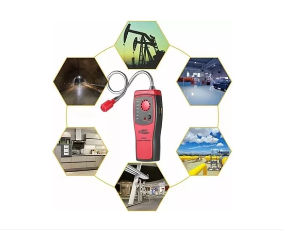 Detector De Fuga De Gas Smart Sensor As8800l-3