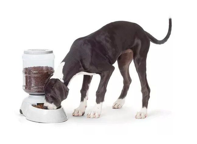Dispensador De Comida Para Mascota Perros Y Gatos-1