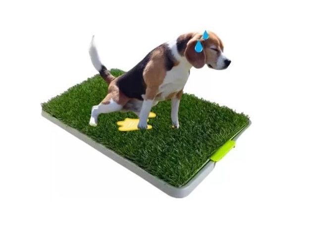 Baño Ecológico Sanitario Mascotas Talla M / Adiestramiento-5