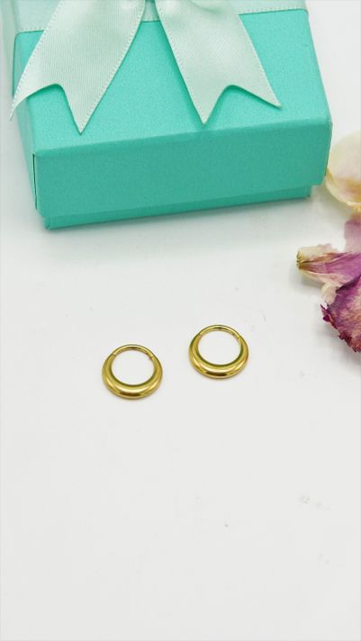 Argollas chicas clicker 16G chunky titanio astm f136 chapadas en oro -3