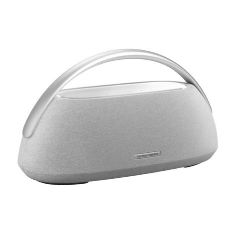 Harman Kardon Go Play 3 - Gris-1