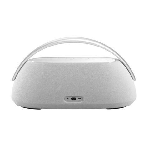 Harman Kardon Go Play 3 - Gris-3