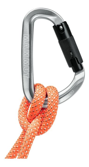 Mosquetón Mammut Unisex Classic Hms Twistlock Gris-1