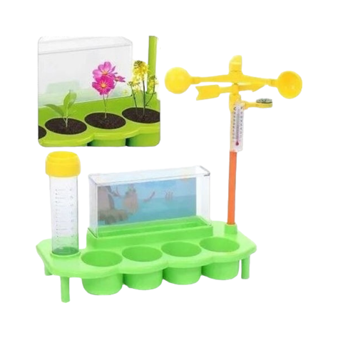 Juego Semilla Germinar Brota y Crece Didactico-3