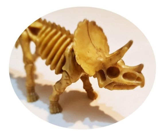 Dinosaurios Huesos Triceratops Fósil Realista Inigualable-0