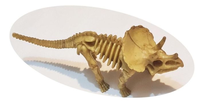 Dinosaurios Huesos Triceratops Fósil Realista Inigualable-1