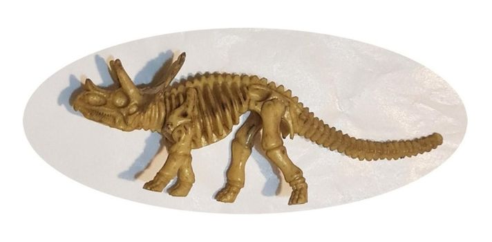 Dinosaurios Huesos Triceratops Fósil Realista Inigualable-2