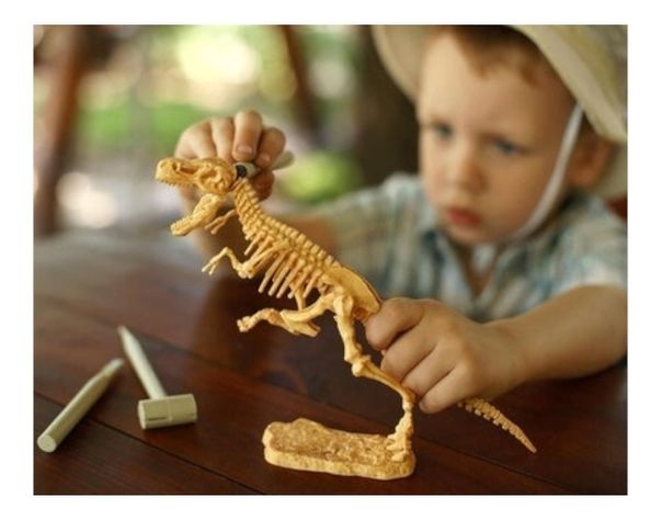 Dinosaurios Huesos Triceratops Fósil Realista Inigualable-3