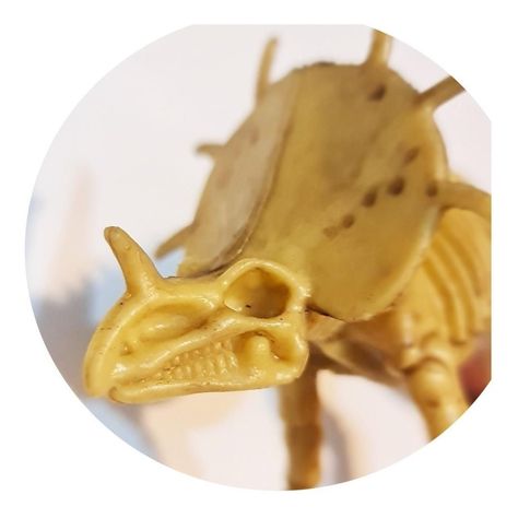 Dinosaurios Huesos Styracosaurus Fósil Realista Inigualable-0