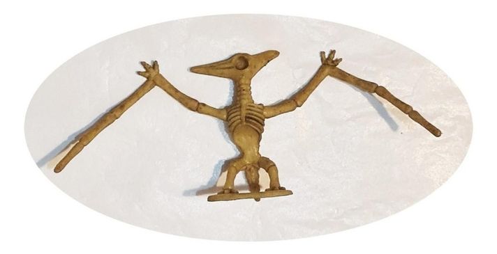 Dinosaurios Huesos Pterodactilos Fósil Realista Inigualable-1
