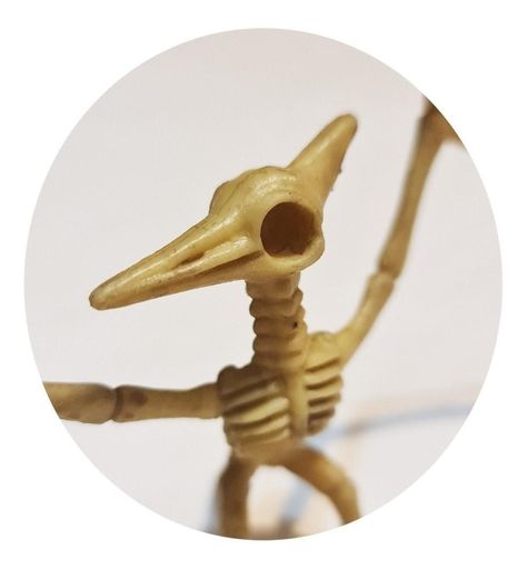 Dinosaurios Huesos Pterodactilos Fósil Realista Inigualable-2