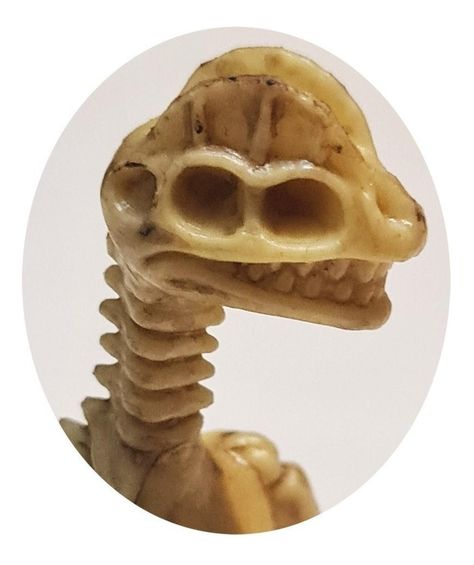 Dinosaurios Huesos Corythosaurus Fósil Realista Inigualable-0
