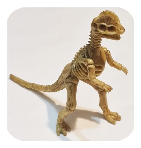 Dinosaurios Huesos Corythosaurus Fósil Realista Inigualable-2