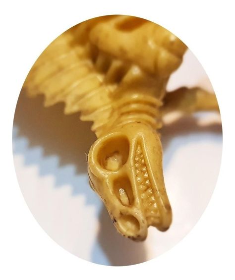 Dinosaurios Huesos Arizonasaurus Fósil Realista Inigualable-1
