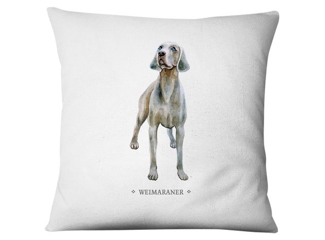 Funda Waimaraner-0