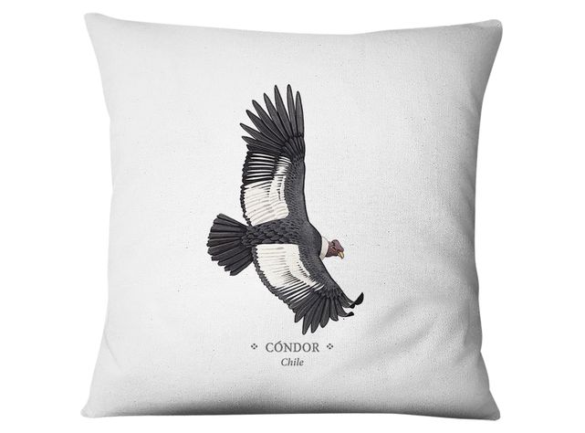 Funda Condor-0