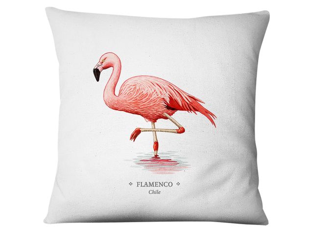 Funda De Flamenco-0