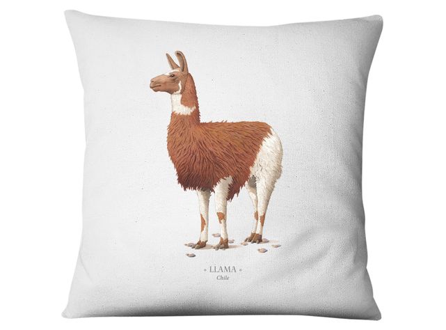 Funda Llama-0