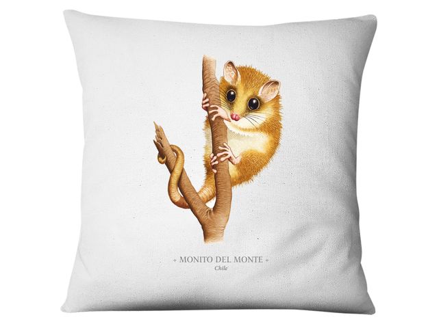 Funda Monito Del Monte-0