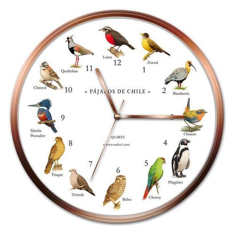 Reloj Pájaros-0