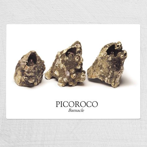 Tabla Chica De Cortar De Picoroco-0