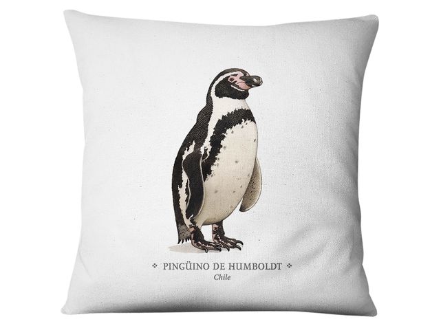 Funda Pinguino-0