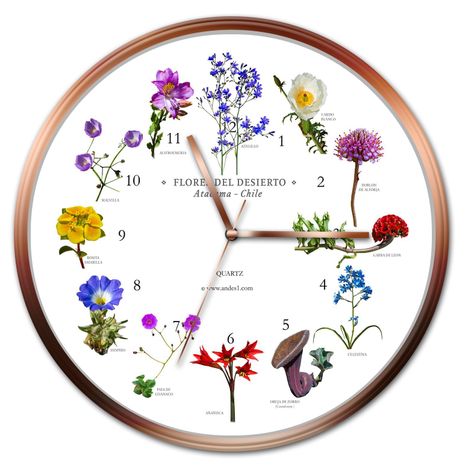Reloj Flores-0