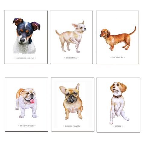 Set de Láminas De Perros N°2-0