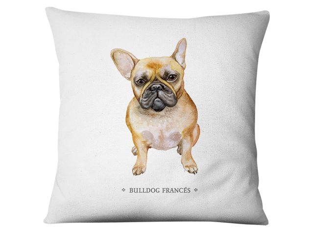 Funda Bulldog Frances-0