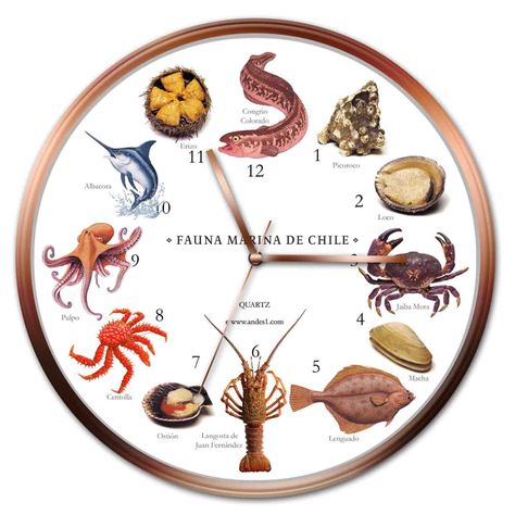 Reloj Fauna Marina-0