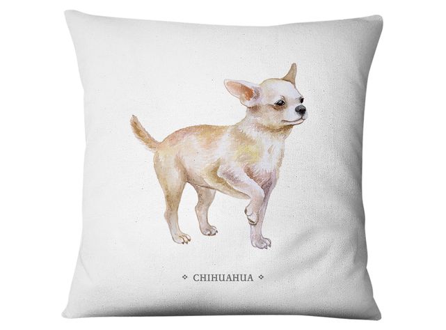 Funda Chihuahua-0