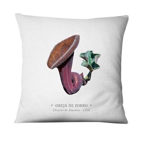 Funda Oreja De Zorro-0