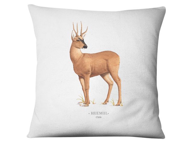 Funda Huemul-0