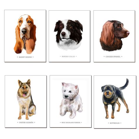 Set de Láminas De Perros N°1-0