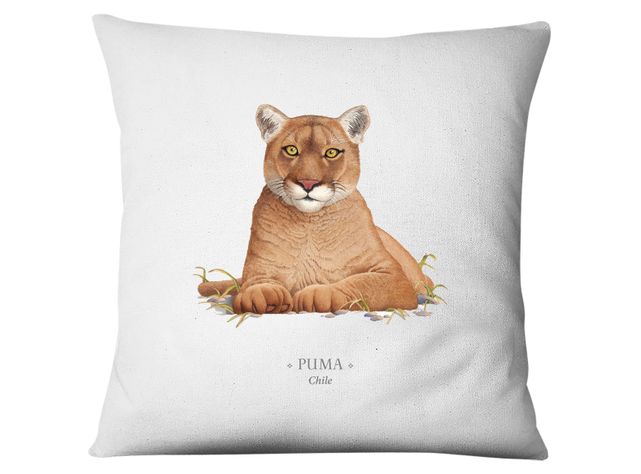 Funda Puma-0