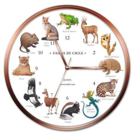 Reloj Fauna-0