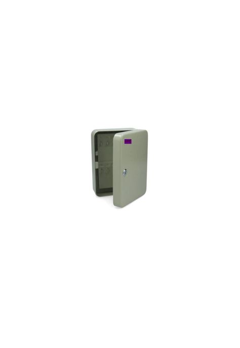 Caja de Seguridad Fuerte Metalica para Llaves 40colgadores 250x180x75mm Alemana-5