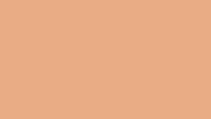 Latex Super Extra GALON Gamma Color DAMASCO-1
