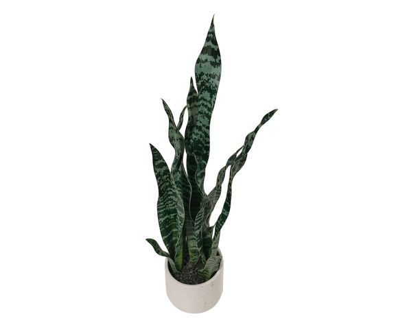 Planta artificial con maceta Sansevieria-1