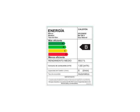 Calefont ionizado tiro natural 8 litros gas natural Master Splendid-7