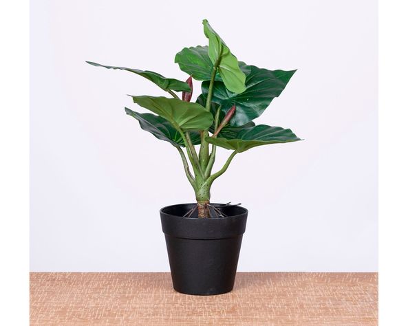 Planta artificial Croton D Outzen.-3