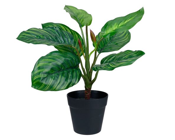Planta artificial Croton B Outzen.-0
